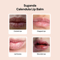 Thumbnail for Calendula Lipbalm